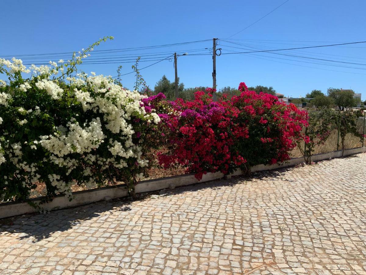 Guest House Alfarrobeiras Албуфейра Екстериор снимка